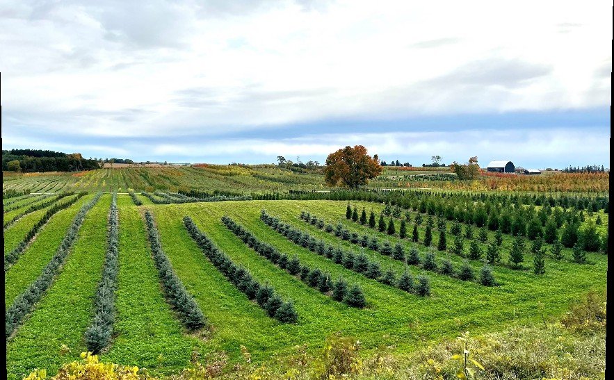 Screenshot 2026 01 30 011154