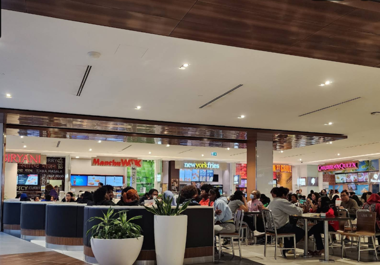 Screenshot 2026 01 31 195548 768x536