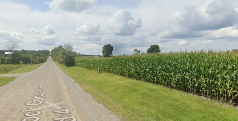 Screenshot 2026 01 31 214511 768x391