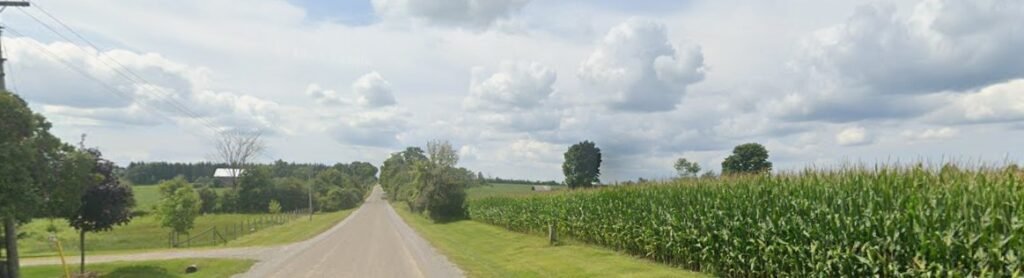 Screenshot 2026 01 31 214524 1024x278