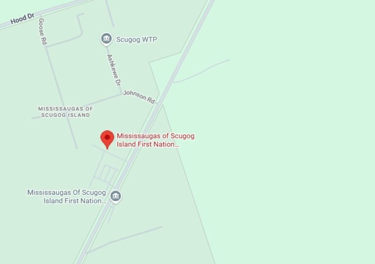 Screenshot 2026 01 31 220039 768x542