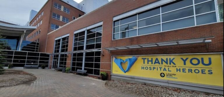 Screenshot 2026 01 31 234719 768x335