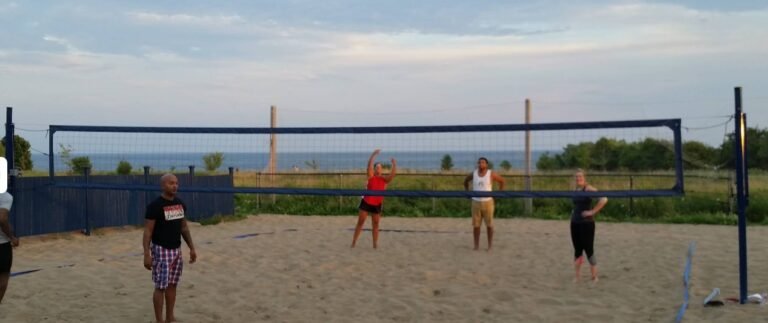 Screenshot 2026 02 01 212814 768x323