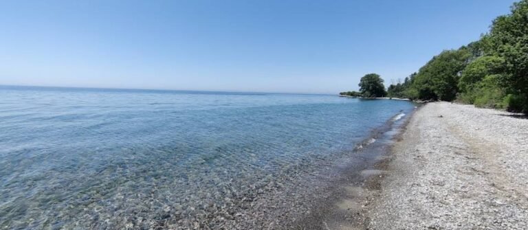 Screenshot 2026 02 01 212908 768x335