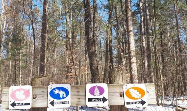 Screenshot 2026 02 01 213640 768x455