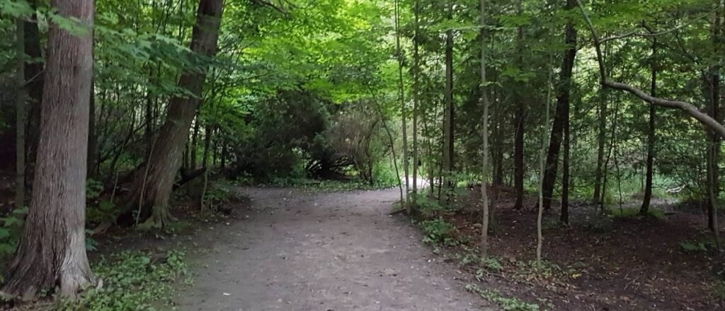 Screenshot 2026 02 01 215525 1 1024x440