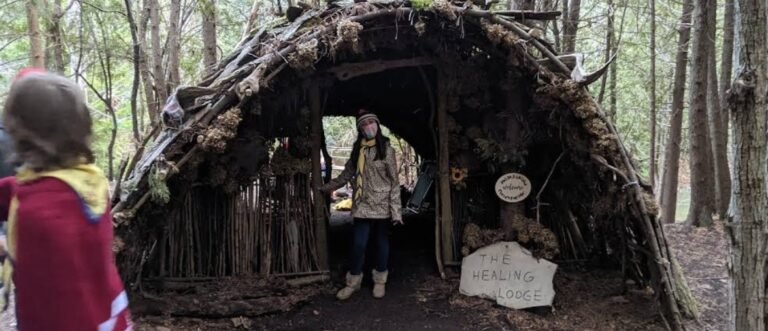 Screenshot 2026 02 01 220627 768x331