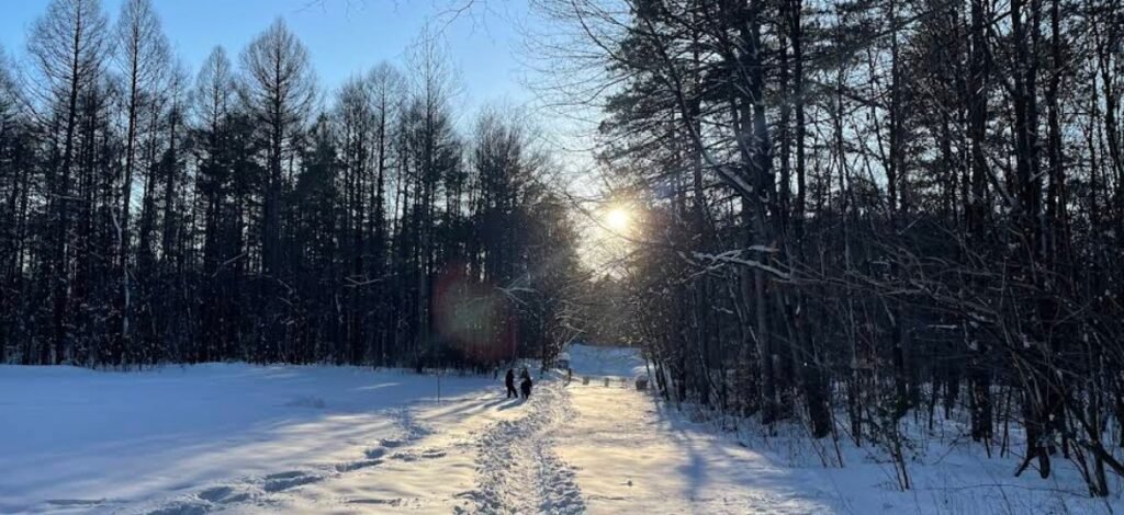 Screenshot 2026 02 01 223402 1024x470