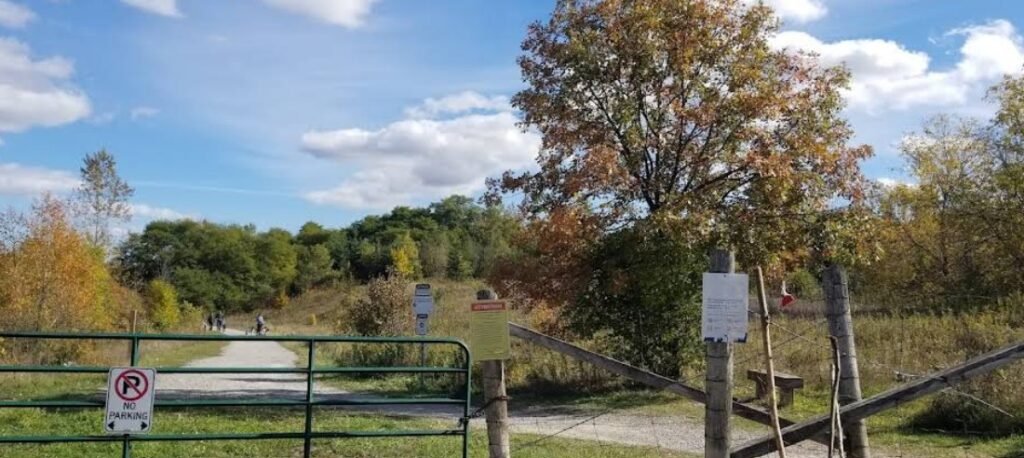 Screenshot 2026 02 01 231836 1024x458