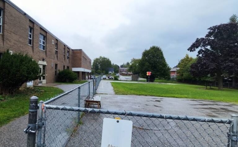 Screenshot 2026 02 01 232509 768x476