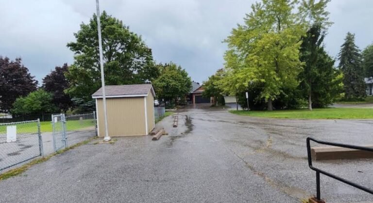 Screenshot 2026 02 01 232600 768x419