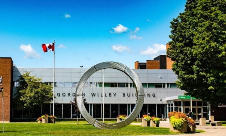 Screenshot 2026 02 01 234006 768x465