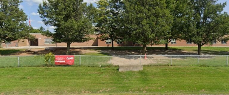 Screenshot 2026 02 01 235419 768x318