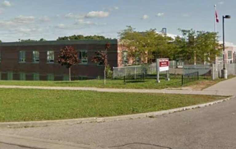 Screenshot 2026 02 02 001635 768x487