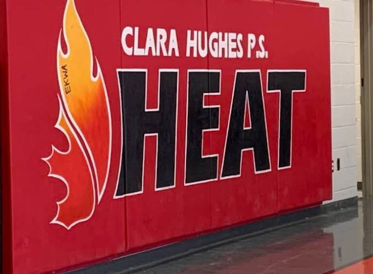 Screenshot 2026 02 02 003411 768x564