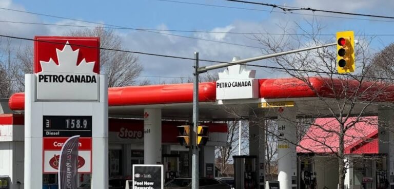 Screenshot 2026 02 04 011957 768x368