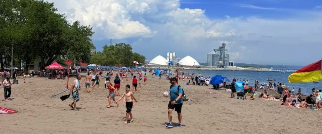 Screenshot 2026 02 05 232416 1024x429