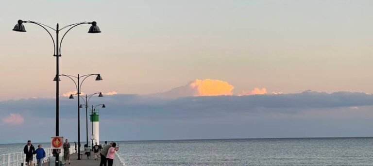 Screenshot 2026 02 05 232516 768x342