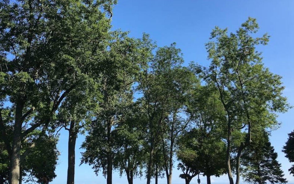 Screenshot 2026 02 07 200630