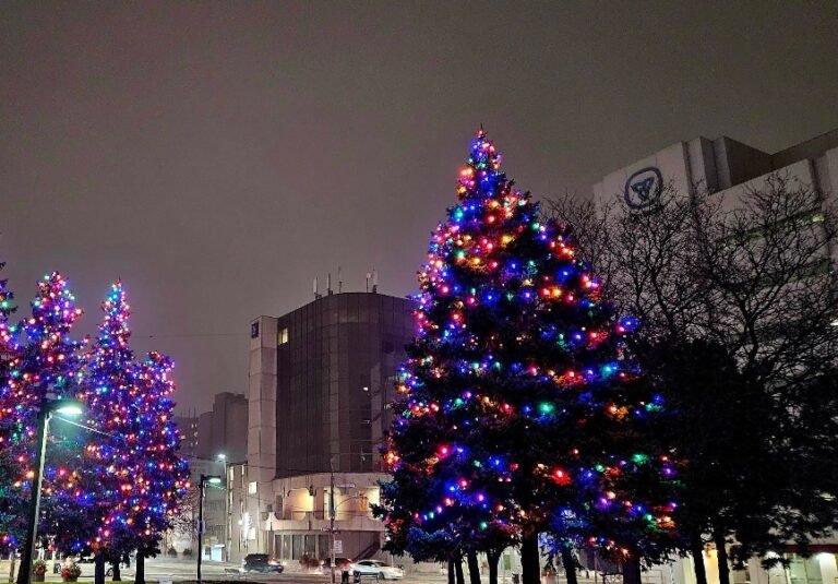 Screenshot 2026 02 07 223250 768x535