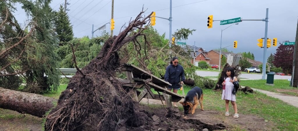 Screenshot 2026 02 07 232145 1024x451