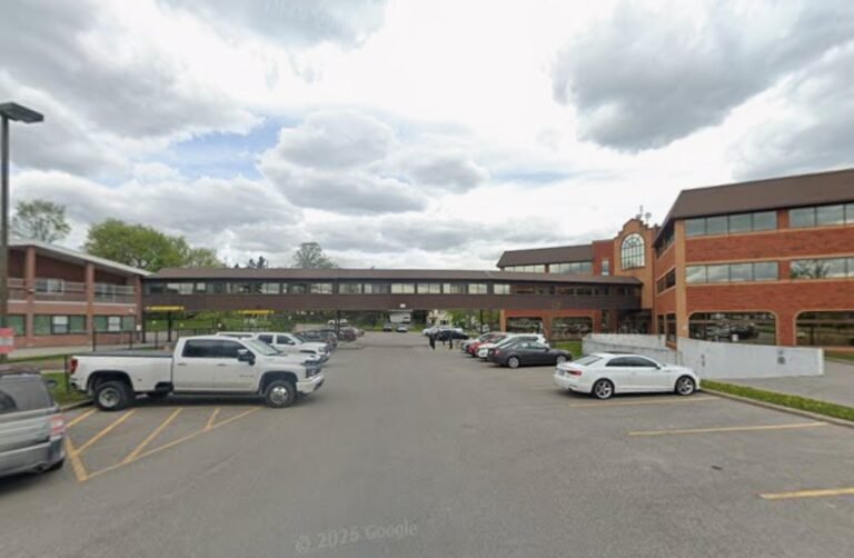 Screenshot 2026 02 08 000532 768x502