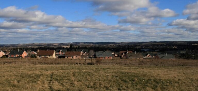 Screenshot 2026 02 08 001041 768x352