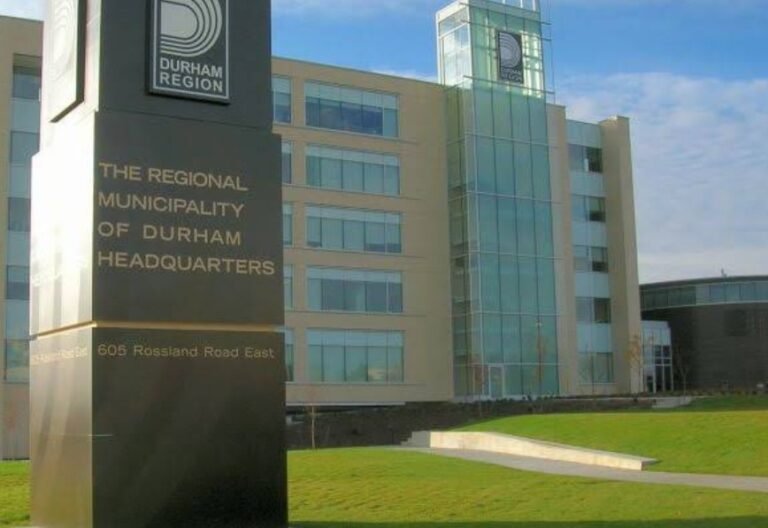 Screenshot 2026 02 08 030048 768x528