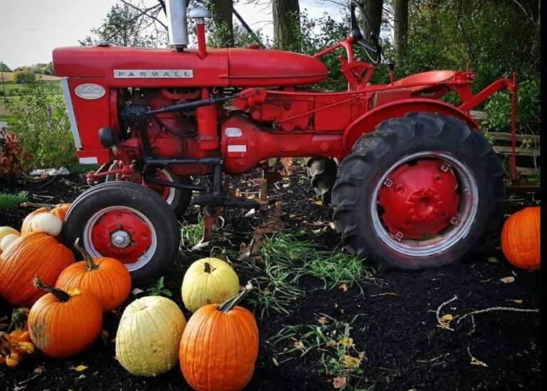 Screenshot 2026 02 08 215758 768x550