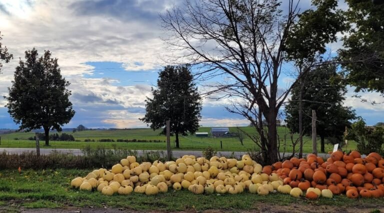 Screenshot 2026 02 08 215920 768x427