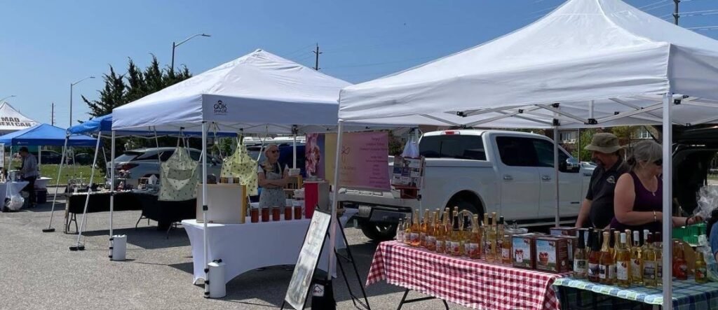 Screenshot 2026 02 08 233342 1024x443