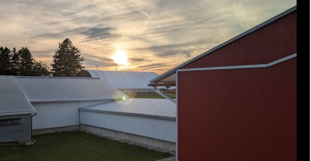 Screenshot 2026 02 08 234040 1024x530