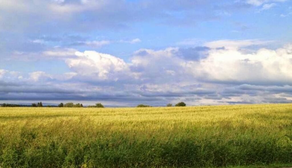 Screenshot 2026 02 08 234849 1024x590