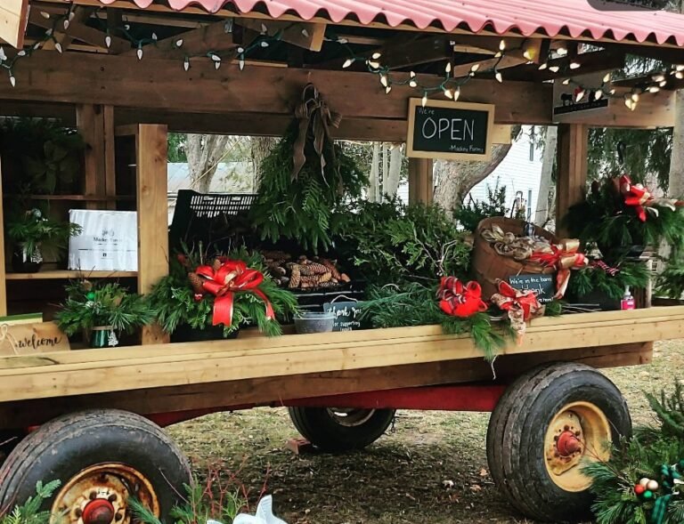 Screenshot 2026 02 09 001257 768x589