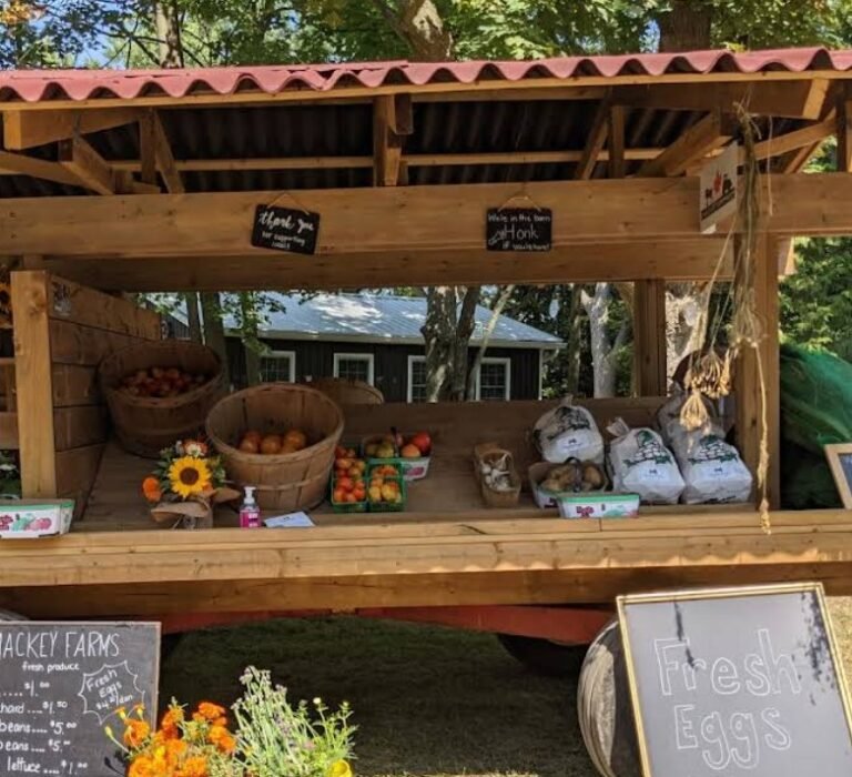 Screenshot 2026 02 09 001330 768x700