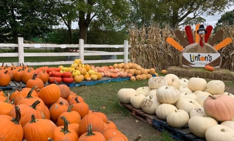 Screenshot 2026 02 09 001745 768x463