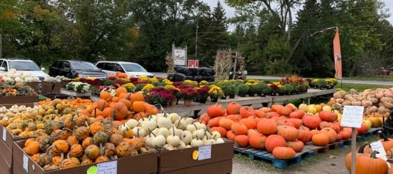 Screenshot 2026 02 09 001839 768x341