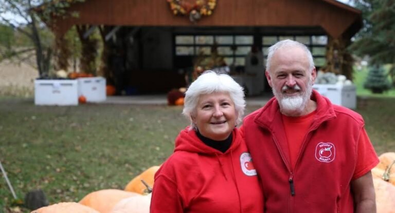 Screenshot 2026 02 09 002335 768x415