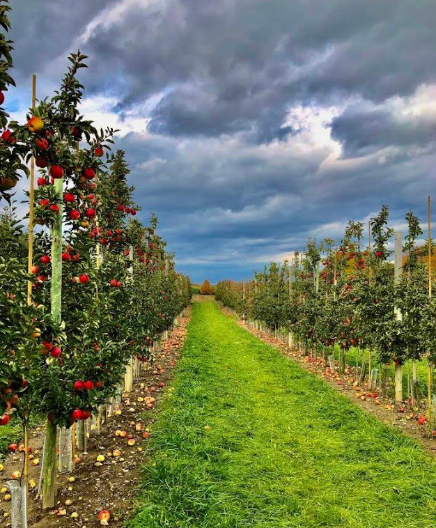 Screenshot 2026 02 09 002456