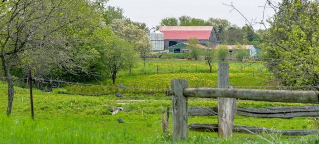 Screenshot 2026 02 09 004223 1024x464