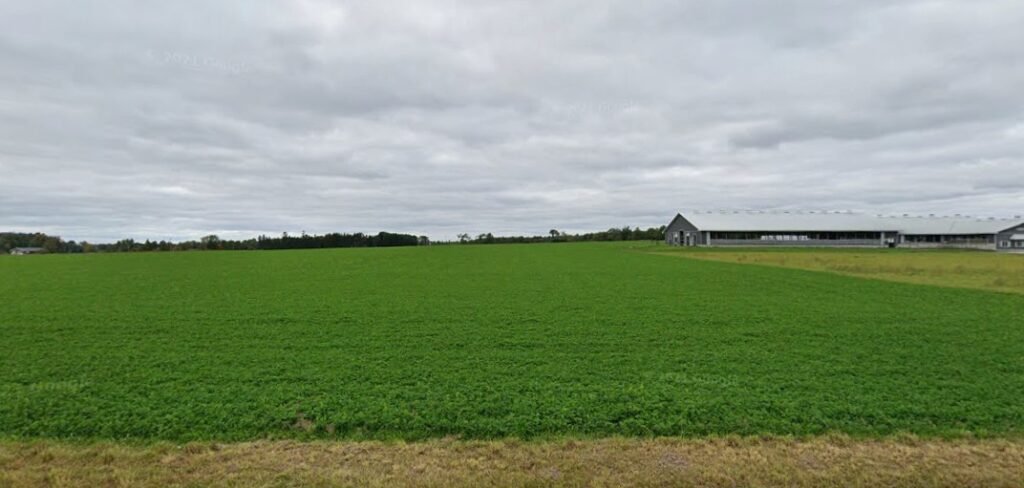 Screenshot 2026 02 09 004950 1024x488