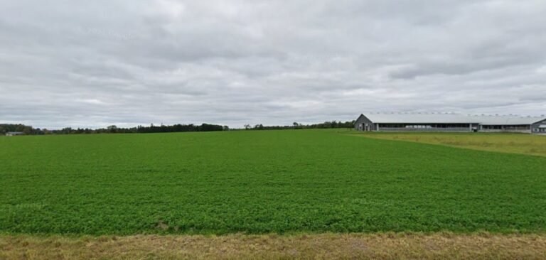 Screenshot 2026 02 09 004950 768x366