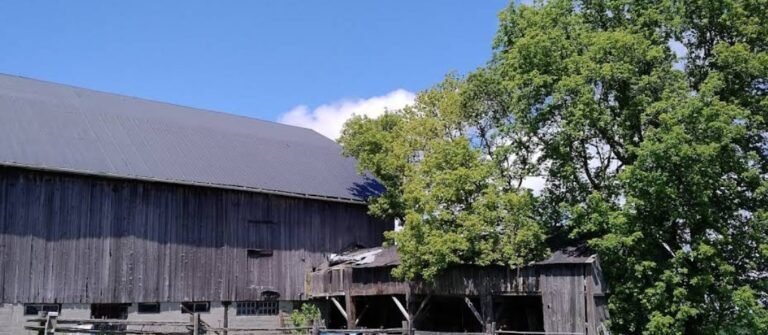 Screenshot 2026 02 09 005817 768x335