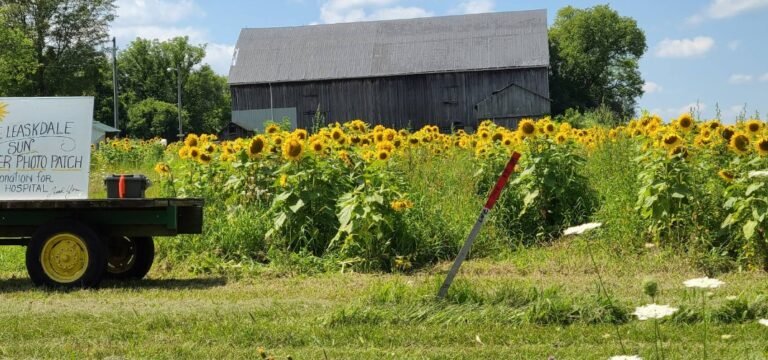 Screenshot 2026 02 09 005839 768x360