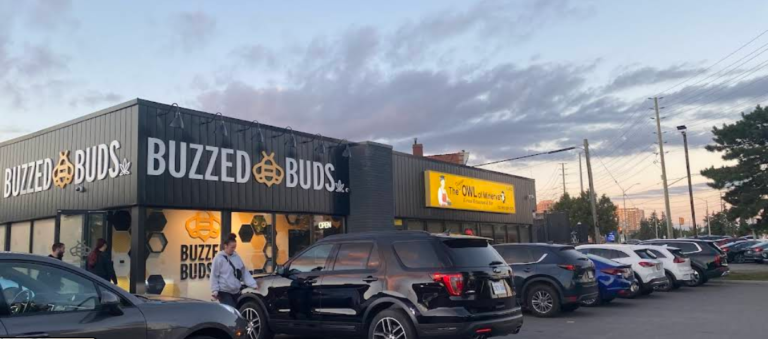 Screenshot 2026 02 11 230854 768x339