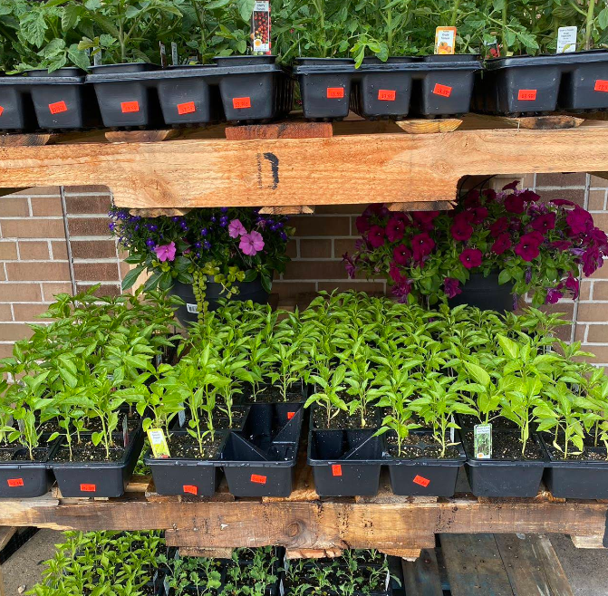 Screenshot 2026 02 13 002543