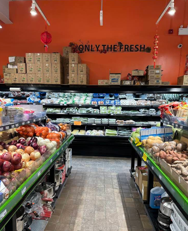 Screenshot 2026 02 13 002606