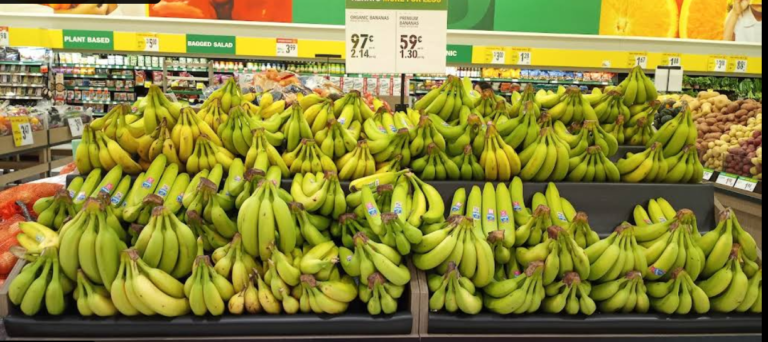 Screenshot 2026 02 13 003039 768x342