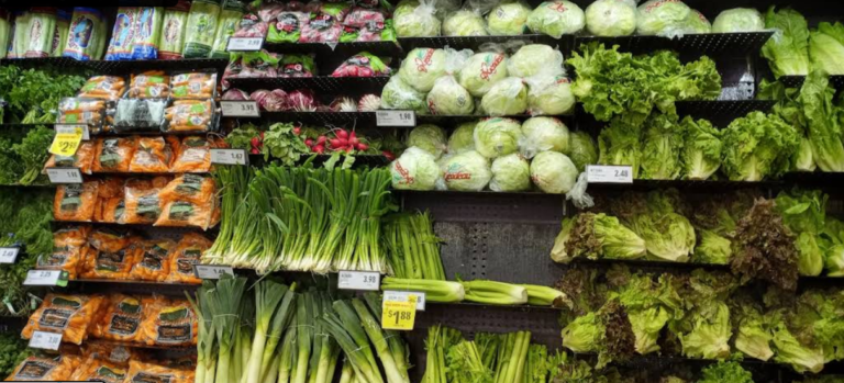 Screenshot 2026 02 13 003107 768x349