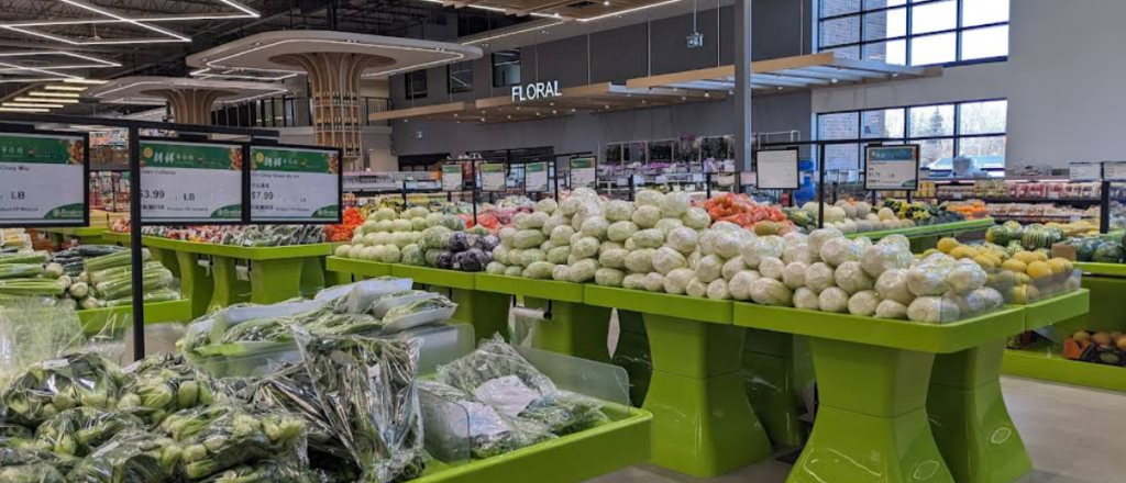 Screenshot 2026 02 15 011348 1024x440